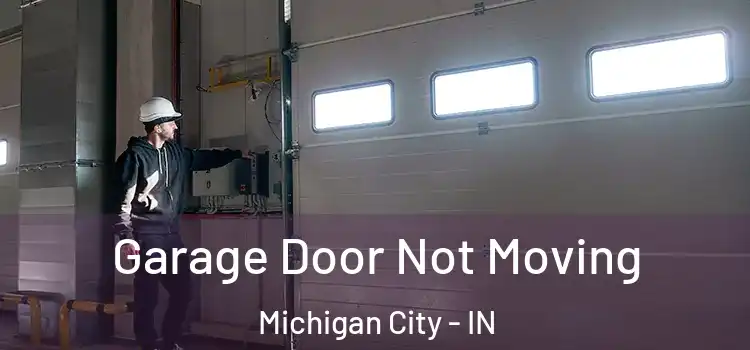  Garage Door Not Moving Michigan City - IN