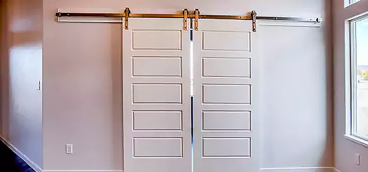 Glass Barn Door with Installation Hardware Kit Michigan City