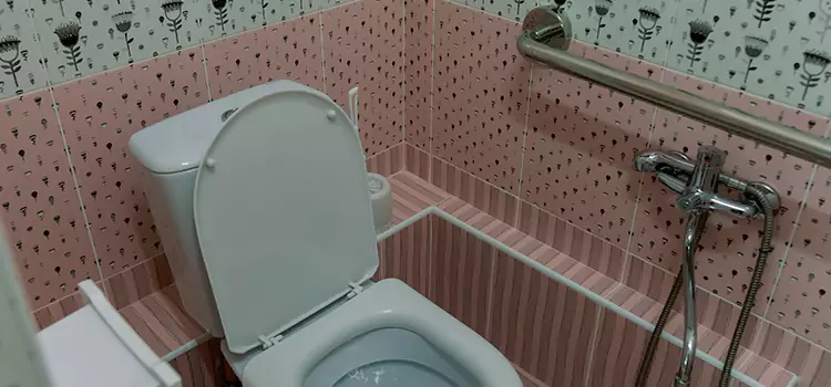 Meeting Diverse Needs With Accessible Restroom Solutions in Michigan City, IN