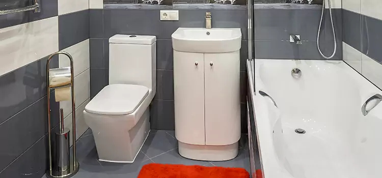 Hansgrohe Shaving Mirror Michigan City